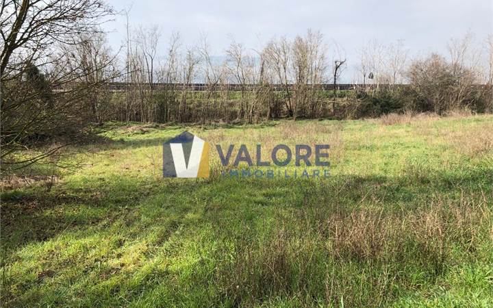 Sites / Plots for Development Sale in Todi (PG) 