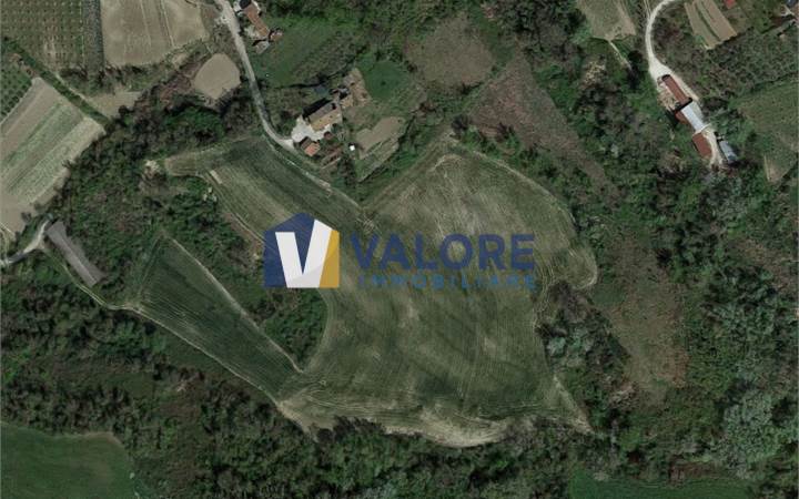 Terreno Agricolo in vendita a Collazzone