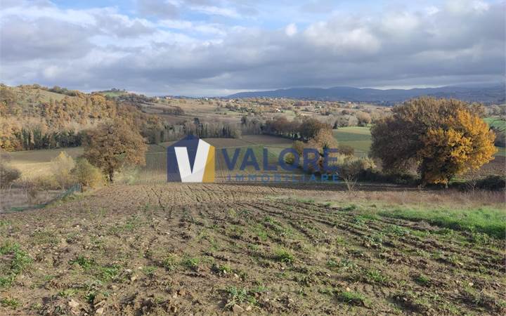 Terreno Agricolo in vendita a Todi