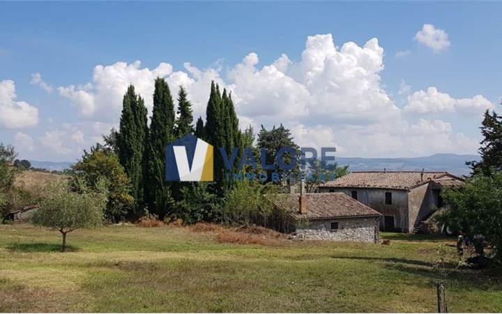 Azienda Agricola in vendita a Castell'Azzara