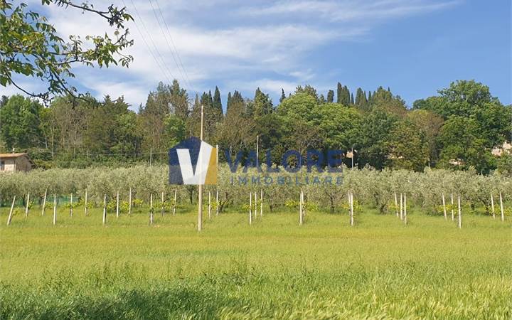 Agricultural Field for sale in Assisi