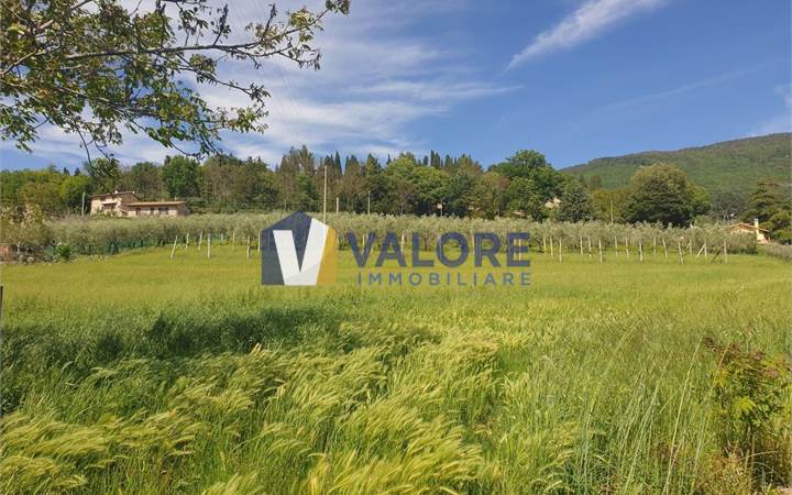 Agricultural Field for sale in Assisi