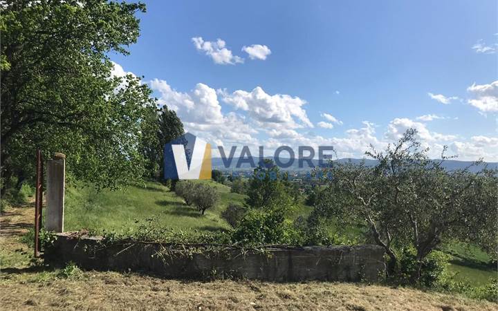 Agricultural Field for sale in Assisi