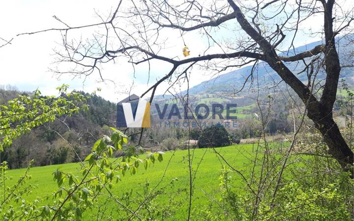 Terreno Agricolo in vendita a Assisi