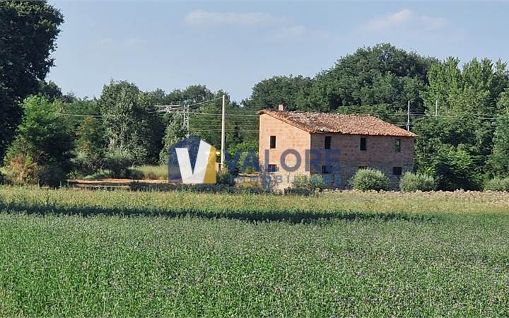 PROPRIETA' DA RISTRUTTURARE IN APERTA CAMPAGNA