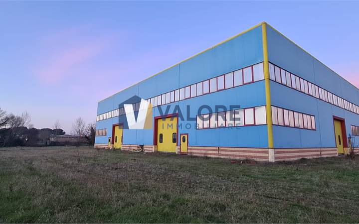 TODI – PANTALLA: TERRENO INDUSTRIALE CON CAPANNONE 