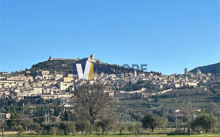  SANTA MARIA DEGLI ANGELI - TERRENO AGRICOLO