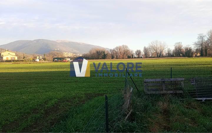 Agricultural Field Sale in Assisi (PG) 