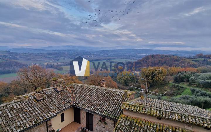 TODI - CECANIBBI - CIELOTERRA