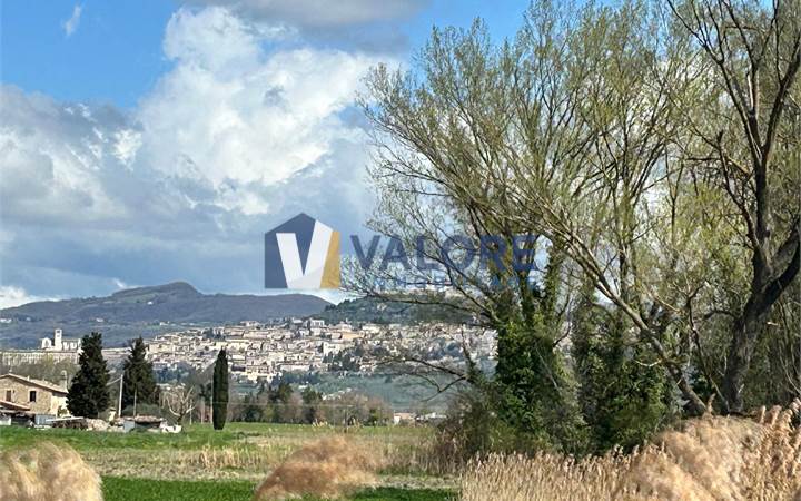 ASSISI - CASTELNUOVO - TERRENO AGRICOLO