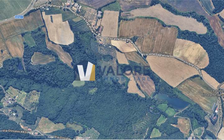 COLLAZZONE - GAGLIETOLE: TERRENO AGRICOLO IN VENDITA 