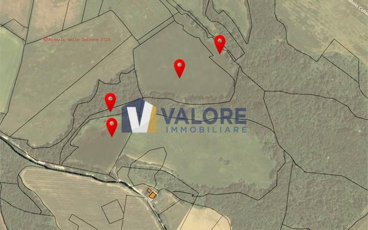 TODI - MONTICELLO: TERRENO AGRICOLO 