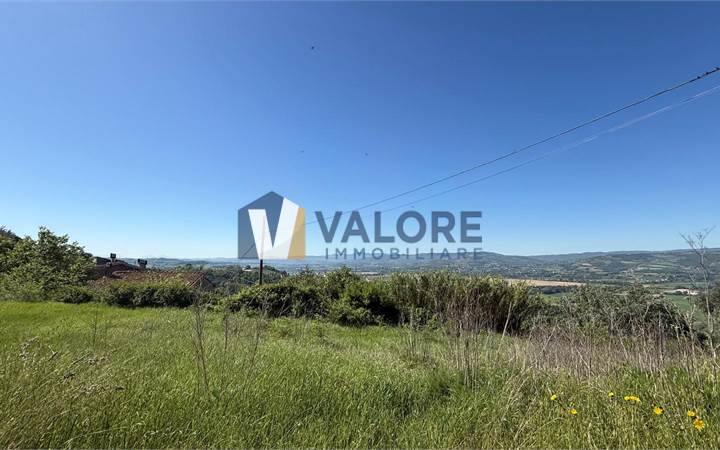 COLLAZZONE - PIEDICOLLE: TERRENO EDIFICABILE PANORAMICO